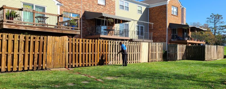 before-after-wood-fence