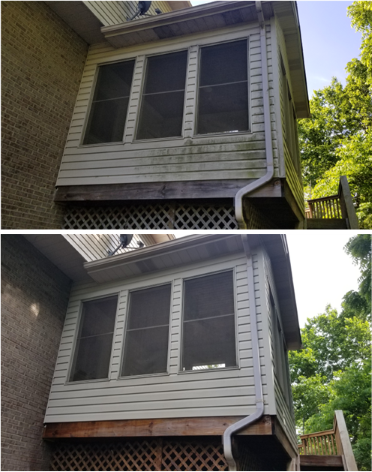viny-siding-house-wash-before-after